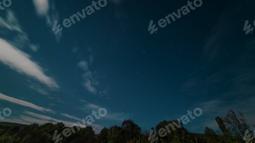 Preview: Night sky with stars under forest at summer