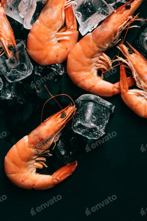 Preview: elevated view of shrimps and ice cubes on dark surface
