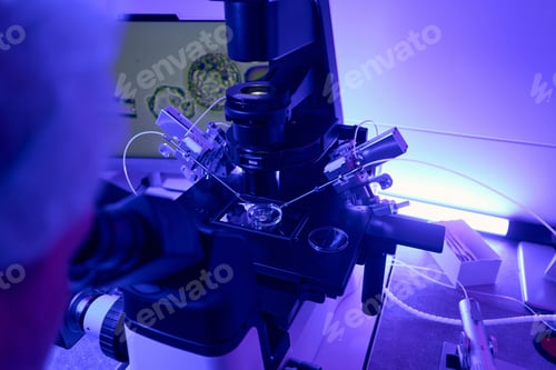 Preview: Embryologist using micromanipulator for intracytoplasmic sperm injection