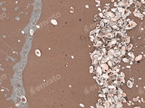 Preview: Color Of The Year 2025 - Mocha Mousse. Pattern of Seashells on the sand, textured background.