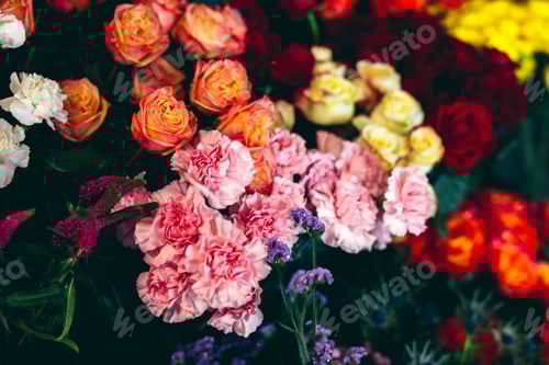 Preview: Flowers and plants in florist shop