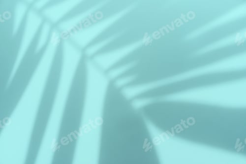 Preview: Tropical palm leaves shadow on blue background with copy space