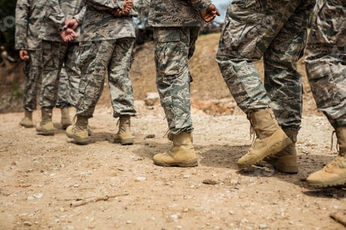 Preview: Group of military soldiers in a training session