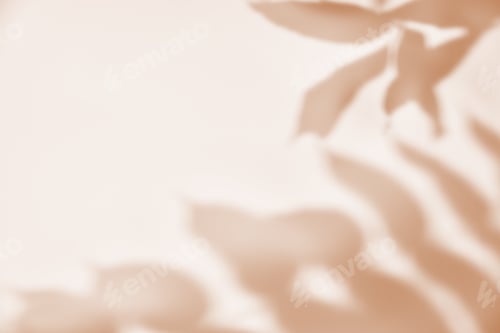 Preview: Leaf shadow on pastel background. Creative abstract background