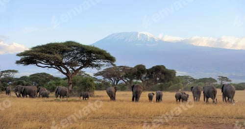 Preview: Elephant