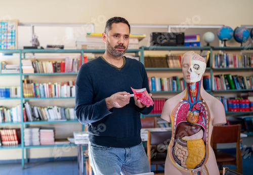 Preview: Male teacher explaining human anatomy using model