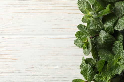 Preview: Frame of mint on wooden background, space for text