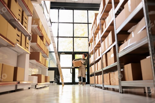 Preview: Supervisor woman carrying cardboard box during inventory