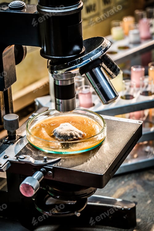 Preview: Chemical laboratory during the mold test