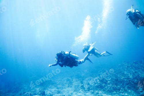 Preview: Gliding beneath the waves
