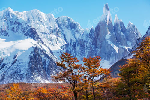 Preview: Cerro Torre
