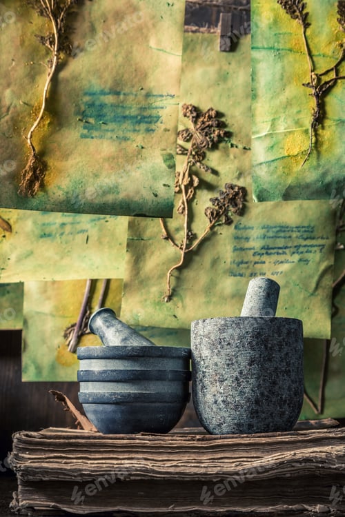 Preview: Extraordinary herbalist workshop with plant descriptions and dried cards