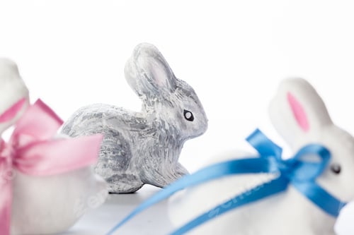 Preview: rabbit isolated on white