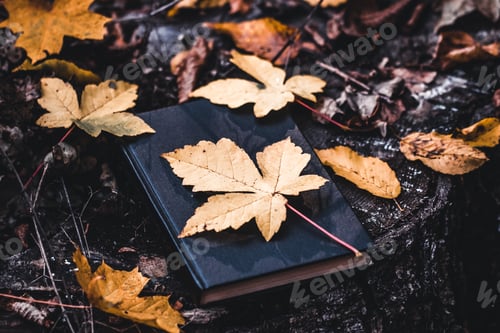 Preview: Book with blank black cover with dry fall leaves. Copy space for title. Top view, background