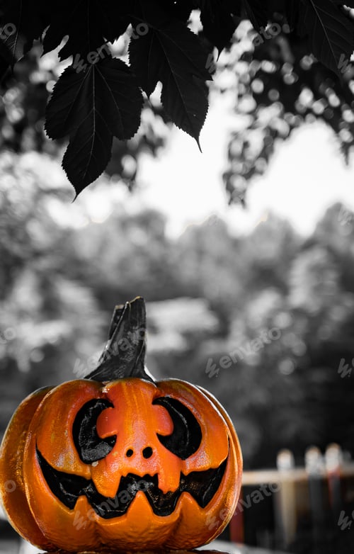 Preview: Vertical shot of pumpkins with a grayscale background