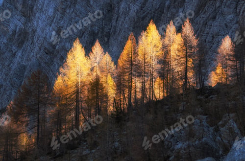 Preview: Autumn in the Julian Alps