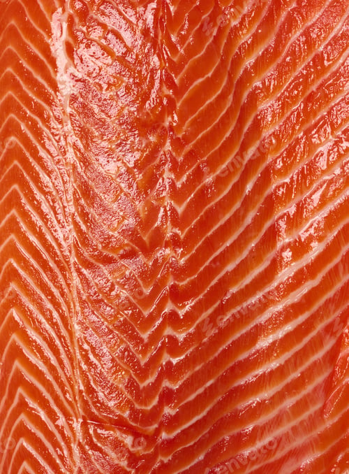 Preview: Texture of raw trout fillet, top view