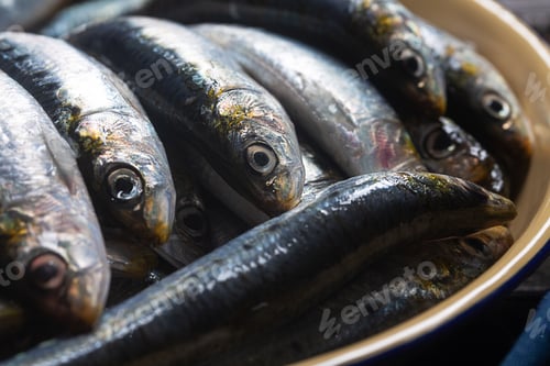 Preview: Freshly caught fresh sardines from the Mediterranean sea, close up