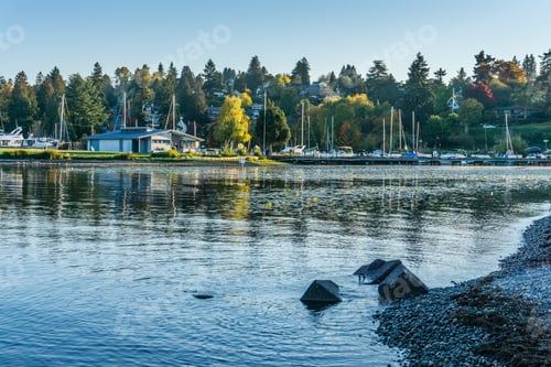 Preview: A View Of The Shoreline Of Lake Washington With Mount Rainier In The Distance.