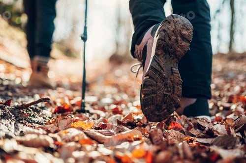 Preview: Hikers walking on muddy trail in autumn forest