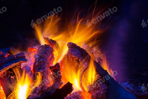 Preview: Bonfire