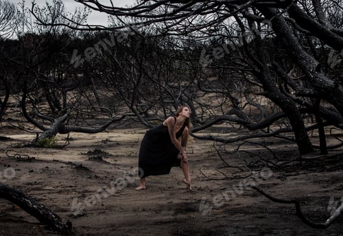 Preview: Woman dancing between dry trees