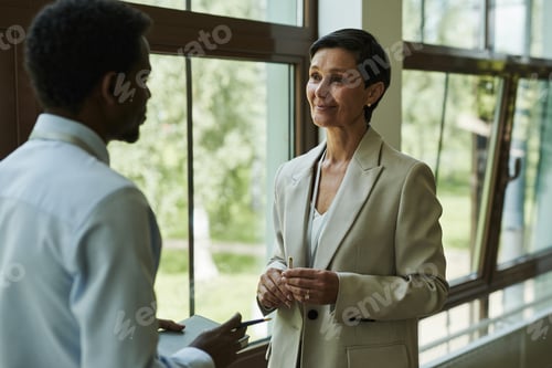 Preview: Middle Aged Caucasian Woman Listening to Black Man during Business Meeting