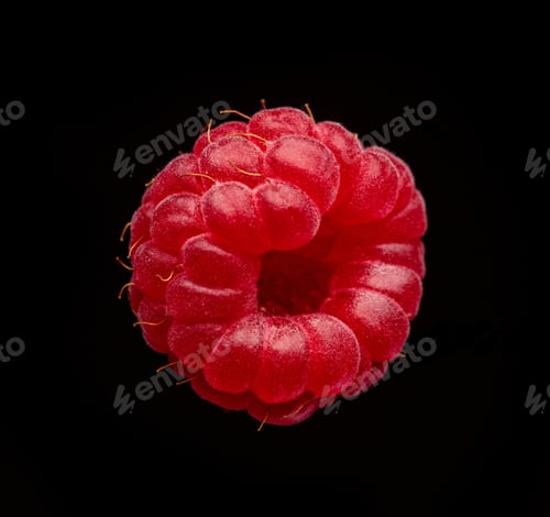 Preview: fresh raspberry macro