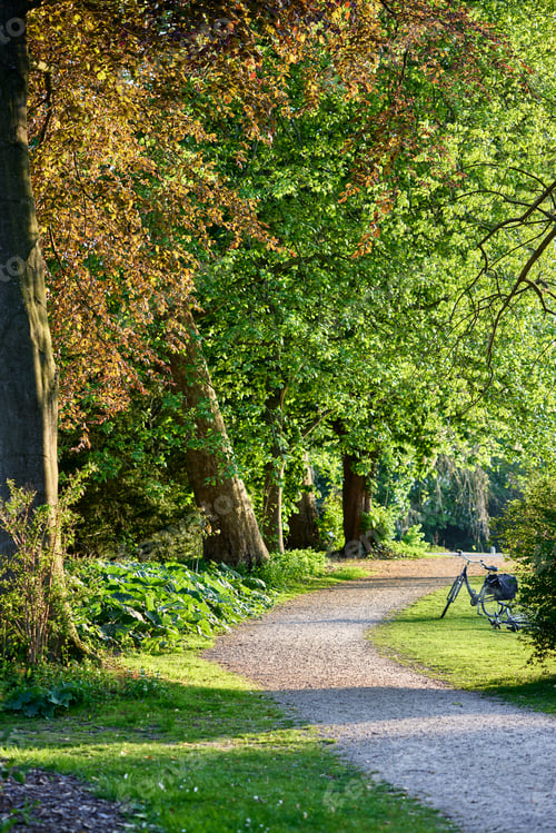 Preview: Alley with bicycle in the green spring park in Domain Rivierenhof, Antwerp