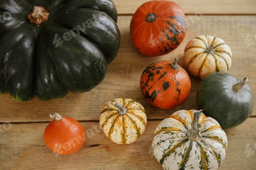 Preview: Hello Fall! Pumpkins on rustic wooden table in house