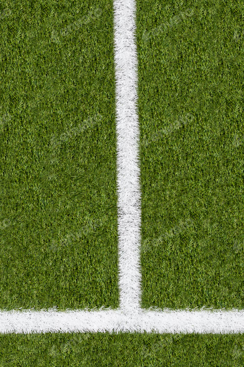 Preview: Further boundary line on green grass of sports field