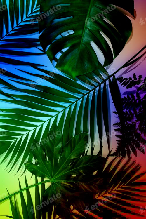 Preview: Modern tropical pattern with exotic leaves isolated on bright background. Flyer for design