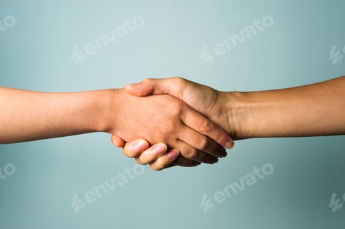 Preview: handshake, successful, congratulating, shaking