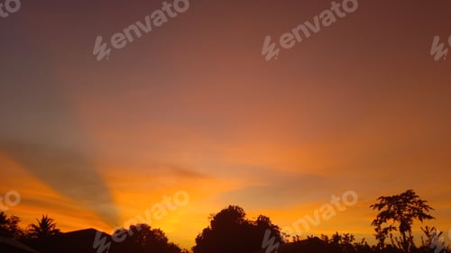Preview: sunset, orange sky bush tree Silhouette black background nature
