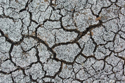 Preview: The arid climate and dry mud