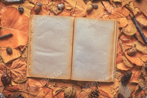Preview: Blank pages of an old open book on creative autumn background