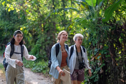 Preview: Backpack adventure hiking traveler walking trekking on the road in greenery tree nature forest