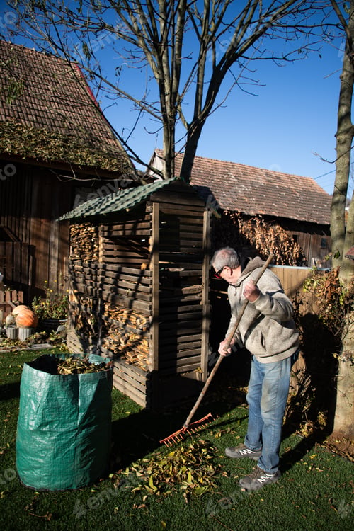 Preview: senior man gathering fallen leaves in autumn