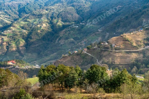 Preview: Aerial view of farming land on a Nepalese hillside