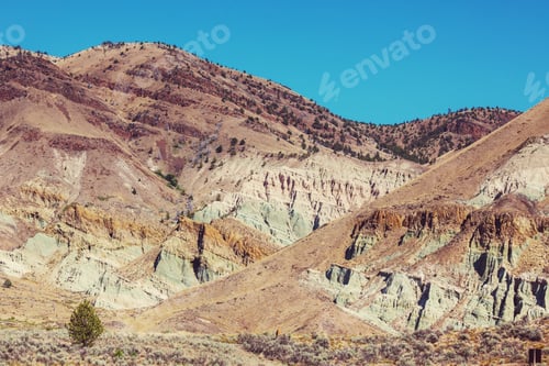 Preview: American landscapes