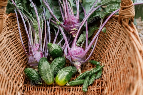 Preview: Homestead lifestyle. Cabbage, cucumber and beans in wicker basket close up