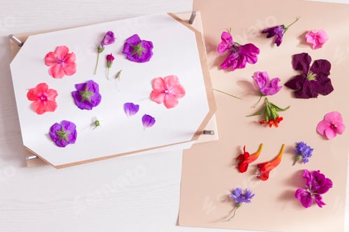 Preview: Pressing blossoms