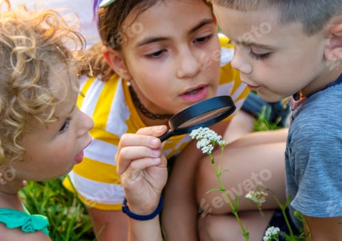 Preview: Children look through a magnifying glass together at the plants in the garden. Selective focus.
