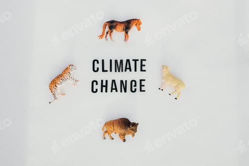 Preview: The phrase climate change and four toy wild animals on the snow.
