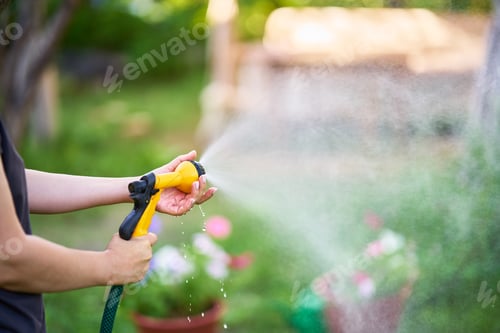 Preview: woman watering flowers and plants in garden
