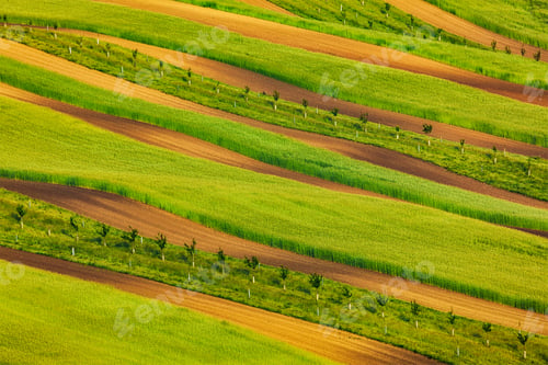 Preview: Striped fields of South Moravia