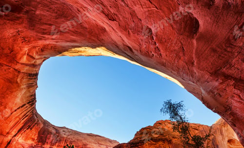 Preview: Coyote Buttes