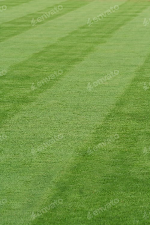 Preview: Grass stripes