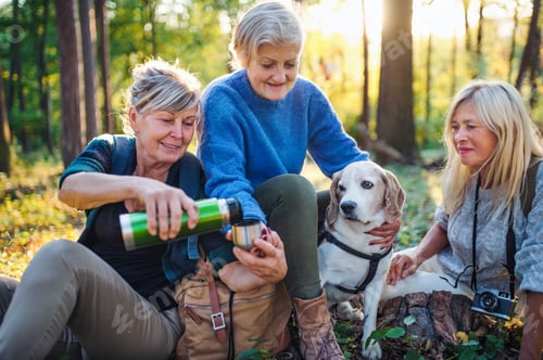 Preview: Senior women friends with dog on walk outdoors in forest