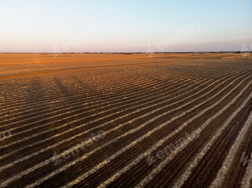 Preview: Ranch Harvest Time sunset in agricultural fields, Vojvodina landscape